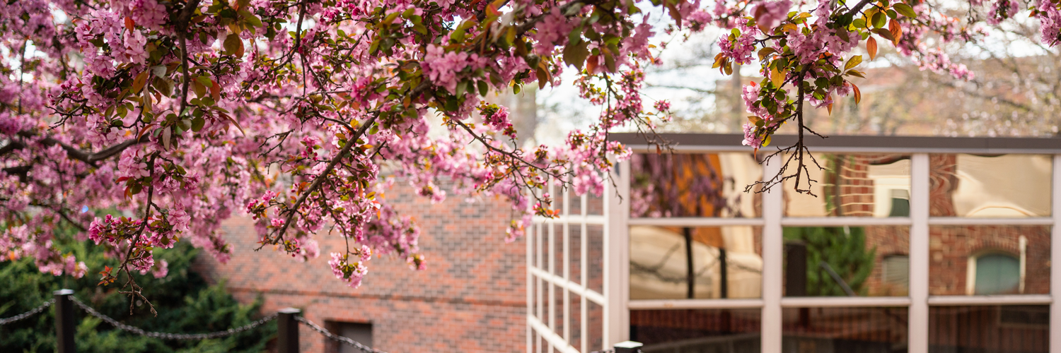 Student Resources Student Accountability And Support student-resources-student-accountability-and-support